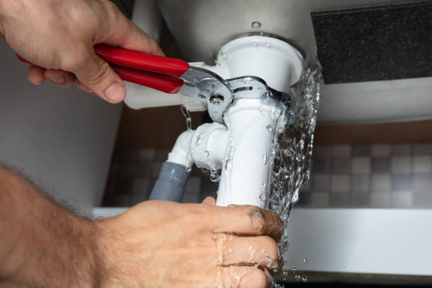 Best Water damage cleanup near me  in Sto Brook University, NY