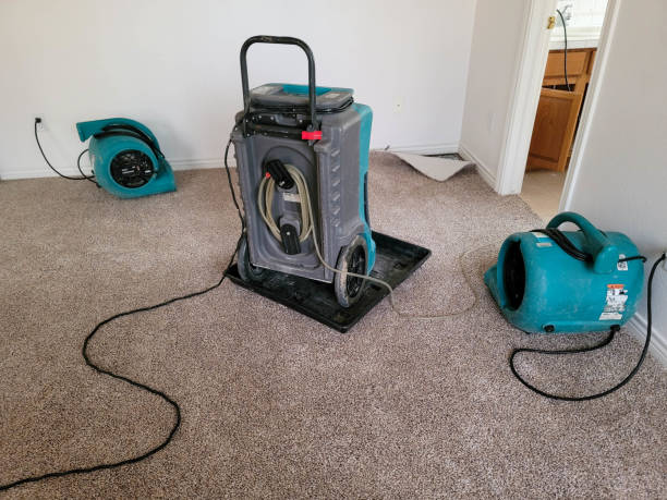 Water damage restoration insurance claims in Stony Brook University, NY