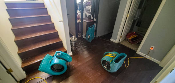 Best Flood damage cleanup  in Sto Brook University, NY