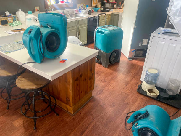 Best Water damage restoration near me  in Sto Brook University, NY