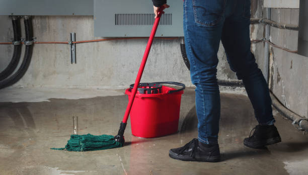 Best Basement water damage restoration  in Sto Brook University, NY