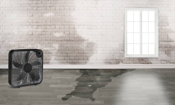 Best 24/7 water damage repair  in Sto Brook University, NY
