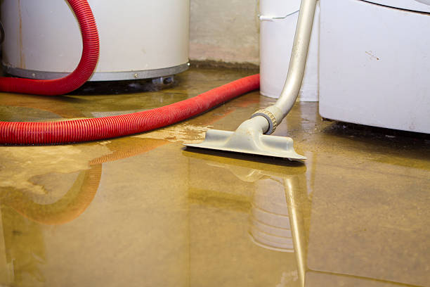 Best Local water damage restoration  in Sto Brook University, NY