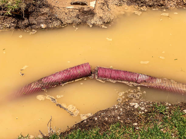 Best Professional water damage repair  in Sto Brook University, NY