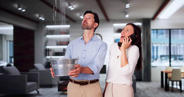 Best Residential water damage restoration  in Sto Brook University, NY