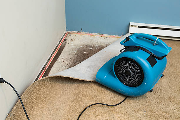 Sto Brook University, NY Water damage restoration Pros